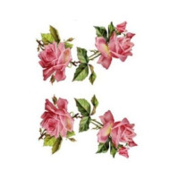 Натирки кольорові Cadence, 17х25 см, RR-013