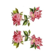 Натирки кольорові Cadence, 17х25 см, RR-013