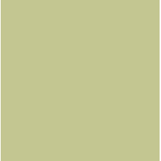 Пастель Conte Soft Pastels №051 Green grey Cіро-зелений арт 500064