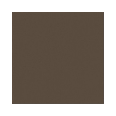 Фарба олійна Lefranc Fine 40 мл, № 478, Raw Umber Сира Умбра