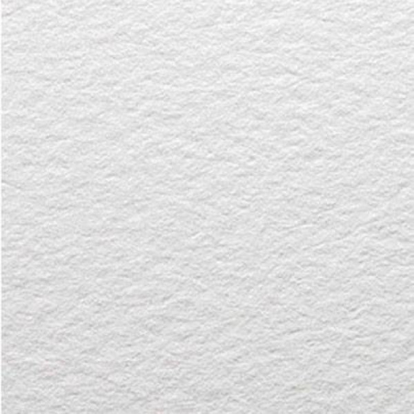 Бумага акварельная Canson холодного пресования Moulin du Roy, 640 гр, 56х76 см