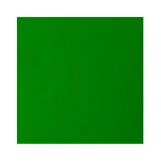 Акриловая краска Liquitex BASICS, 946 мл, Зеленый светлый