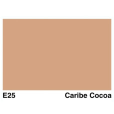 Заправка для маркерів COPIC Ink, E25 Caribe cocoa Карибський кокос, 12 мл