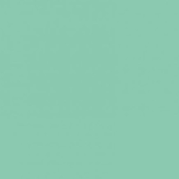 Бумага Folia Tinted Paper 130 г/м2, 20х30 см, №25 Mint Мятный