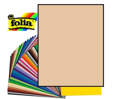 Двухсторонний декоративный картон фотофон Folia Photo Mounting Board 300 г/м2,50x70 см №10 Chamois Бежевый