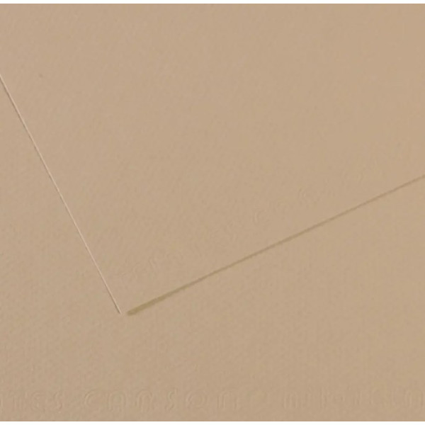 Бумага для пастели Canson Mi-Teintes, №343 Светло-серый Pearl, 160 г/м2, 75x110 см