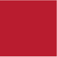 Папір Folia Tinted Paper 130 г/м2, 20х30 см №18 Brick red Червоний