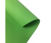 Бумага Folia Tinted Paper 130 г/м2, 50x70 см, №51 Light green Светло-зеленый