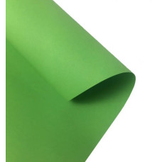 Бумага Folia Tinted Paper 130 г/м2, 50x70 см, №51 Light green Светло-зеленый