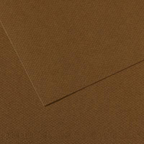 Папір пастельний Canson Mi-Teintes, 160 г/м2, A4 №501 Tobacco Тютюновий