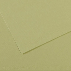 Папір для пастелі Canson Mi-Teintes, №480 Світло-зелений Light green, 160 г/м2, 75x110 см