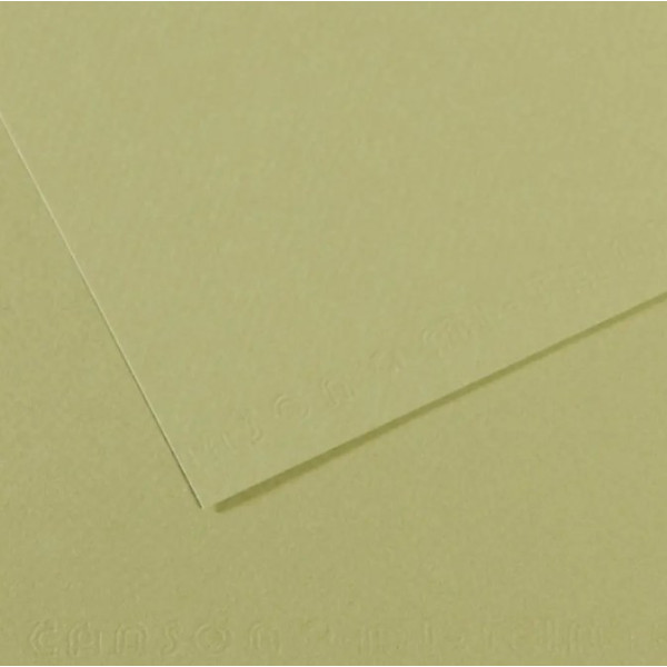 Папір для пастелі Canson Mi-Teintes, №480 Світло-зелений Light green, 160 г/м2, 75x110 см