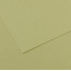 Бумага для пастели Canson Mi-Teintes, №480 Светло-зеленый Light green, 160 г/м2, 75x110 см
