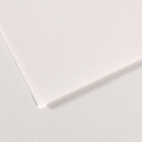 Бумага пастельная Canson Mi-Teintes 160 г/м2 50x65 см №335 White Белый