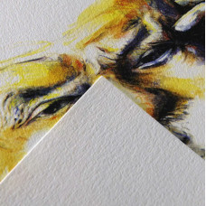 Бумага для эскизов "C" ? grain Fine grain Canson, Natural white 224 г, 50x65 см