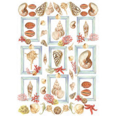 Карта для декупажу Черепашки розмір 50x70 см арт DECOUP01_018