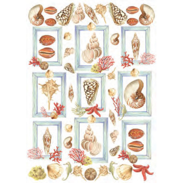 Карта для декупажу Черепашки розмір 50x70 см