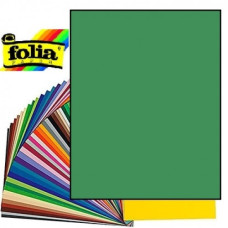 Картон Folia Photo Mounting Board 300 г/м2, A4 №53 Moss green Тьмяно-зелений