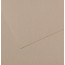 Папір для пастелі Canson Mi-Teintes, №122 Фланелевий сірий Flannel gray, 160 г/м2, 75x110 см