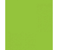 Двосторонній декоративний картон фотофон Folia Photo Mounting Board 300 г/м2,50x70 см №50 Spring green Салатовий