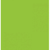 Двосторонній декоративний картон фотофон Folia Photo Mounting Board 300 г/м2,50x70 см №50 Spring green Салатовий