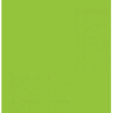 Двосторонній декоративний картон фотофон Folia Photo Mounting Board 300 г/м2,50x70 см №50 Spring green Салатовий
