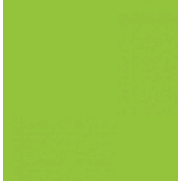 Двосторонній декоративний картон фотофон Folia Photo Mounting Board 300 г/м2,50x70 см №50 Spring green Салатовий