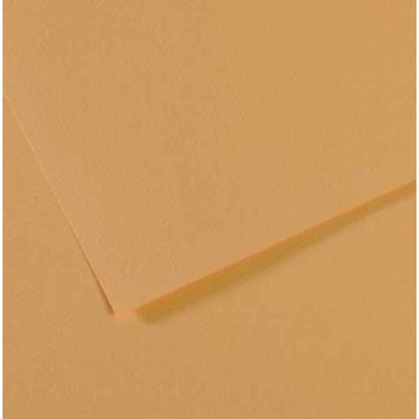 Папір пастельний Canson Mi-Teintes 160 г/м2 50x65 см №340 Oyster Устричний