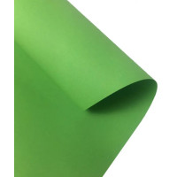 Картон Folia Photo Mounting Board 300 г/м2, 70x100 см, №51 Light green Світло-зелений