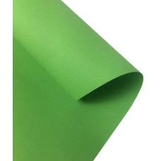 Картон Folia Photo Mounting Board 300 г/м2, 70x100 см, №51 Light green Светло-зеленый