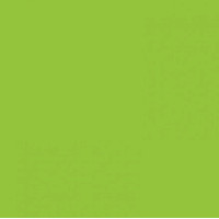 Папір Folia Tinted Paper 130 г/м2, 20х30 см, №50 Spring green Салатовий