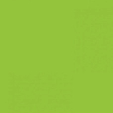 Бумага Folia Tinted Paper 130 г/м2, 20х30 см, №50 Spring green Салатовый