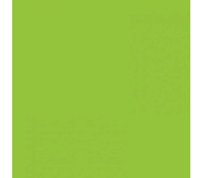 Папір Folia Tinted Paper 130 г/м2, 20х30 см, №50 Spring green Салатовий