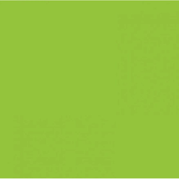 Папір Folia Tinted Paper 130 г/м2, 20х30 см, №50 Spring green Салатовий