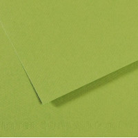 Бумага для пастели Canson Mi-Teintes, №475 Яблочно-зеленый Apple green, 160 г/м2, 75x110 см