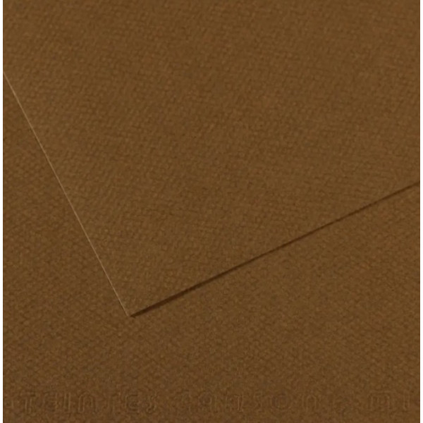 Бумага для пастели Canson Mi-Teintes, №501 Табачный Tobacco, 160 г/м2, 75x110 см