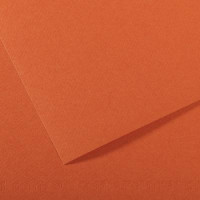 Бумага пастельная Canson Mi-Teintes, 160 г/м2, A4 №115 Mistical orange Мандариновый