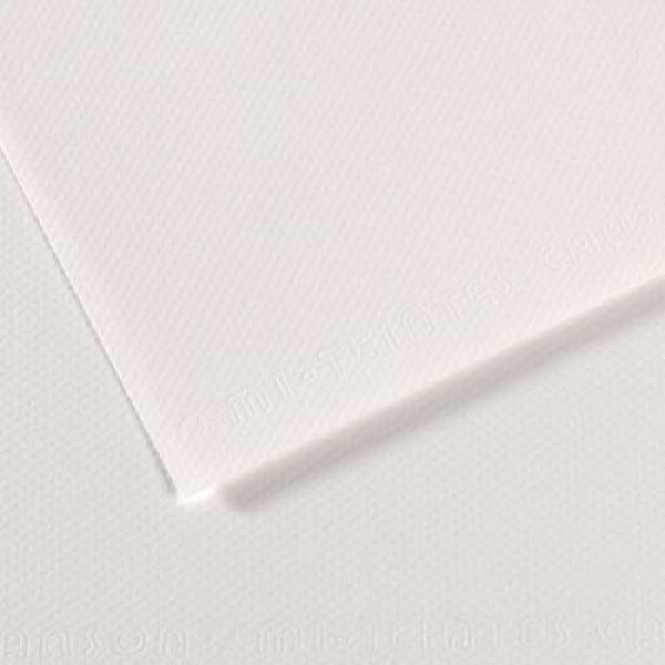 Бумага пастельная Canson Mi-Teintes, 160 г/м2, A4 №335 White Белый