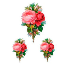 Натирки кольорові Cadence, 17х25 см, RR-009