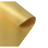 Картон Folia Photo Mounting Board 300 г/м2, A4 №65 Gold lustre Золотий матовий