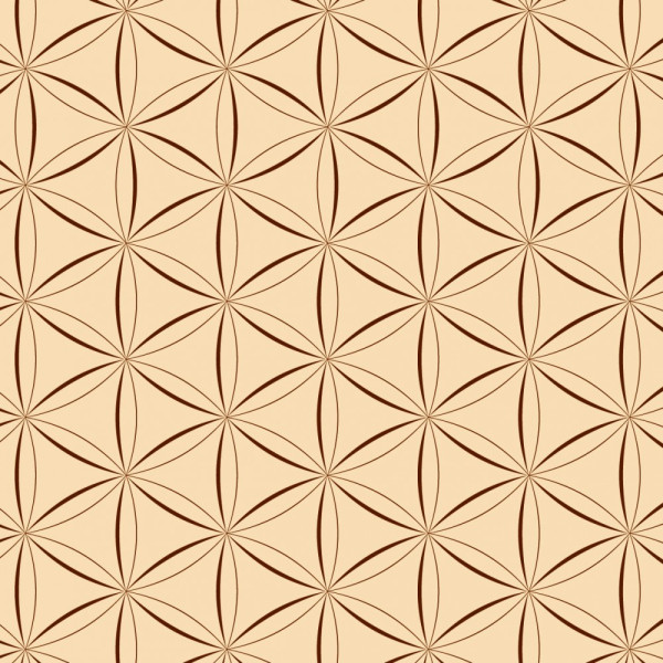 Бумага для оригами Folia Folding Papers 15x15 см, 50 листов, 80 г м 2, коричневый (466/1515)