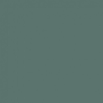 Акриловая краска Cadence Premium Acrylic Paint, 25 мл, Зеленая плесень