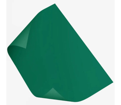Папір Folia Tinted Paper 130 г/м2, 50x70 см №58 Fir green Темно-зелений