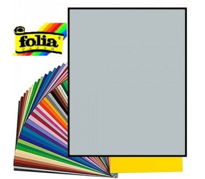 Двосторонній декоративний картон фотофон Folia Photo Mounting Board 300 г/м2,50x70 см №60 Срібний матовий