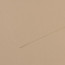 Папір пастельний Canson Mi-Teintes 160 г/м2 50x65 см №343 Pearl Перлинний