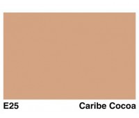 Заправка для маркеров COPIC Ink, E25 Caribe cocoa Карибский кокос, 12 мл