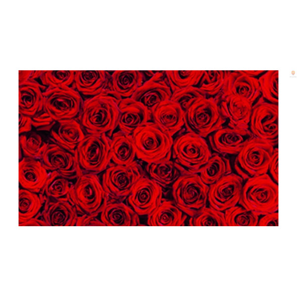 Картон Folia Decorative Elements Flowers 270 гр, 50x70 см, Розы