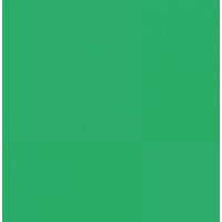 Папір Folia Tinted Paper 130 г/м2, 20х30 см №54 Emerald green Смарагдово-зелений