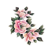 Трансфер універсальний Cadence Gulsun Ulku Series Transfer 17*25, G-160