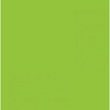 Картон Folia Photo Mounting Board 300 г/м2, 70x100 см, №50 Light green Салатовый
